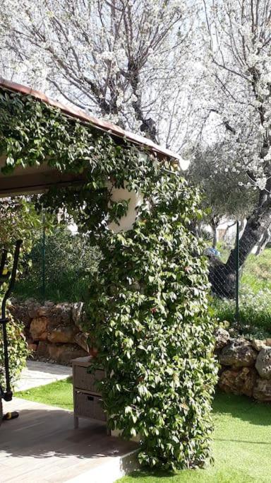 Maison 2/4pers : jardin piscine. LES AMANDIERS Lorgues Buitenkant foto